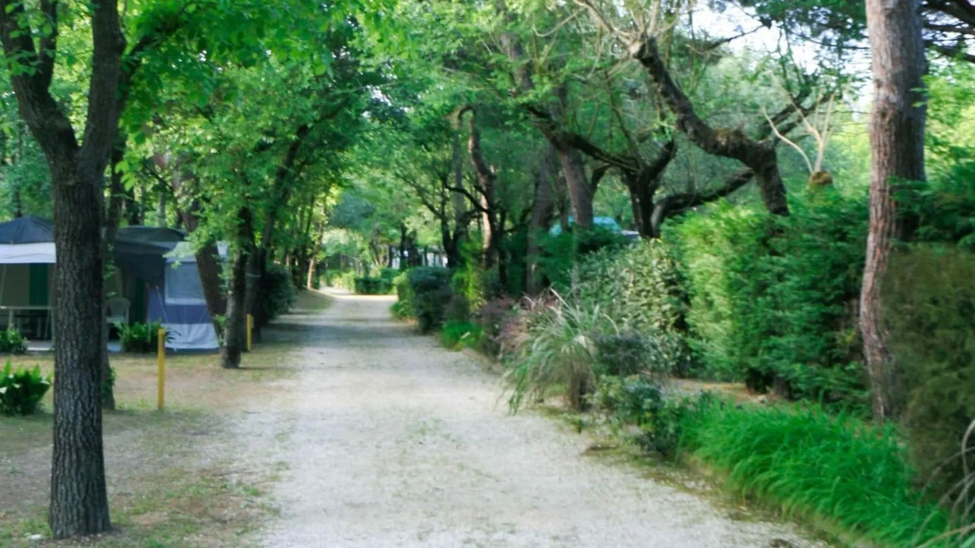 度假居 Mobile Home Villaggio Valdor, 卡瓦利诺